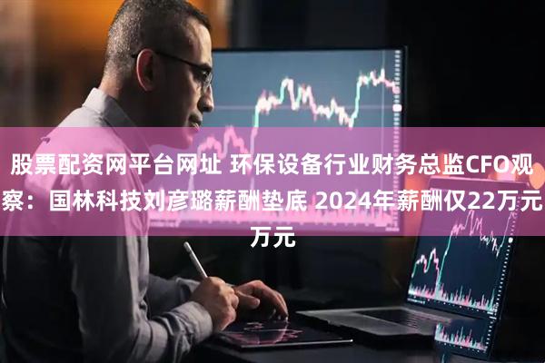 股票配资网平台网址 环保设备行业财务总监CFO观察：国林科技刘彦璐薪酬垫底 2024年薪酬仅22万元