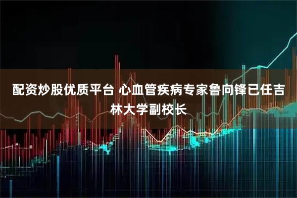 配资炒股优质平台 心血管疾病专家鲁向锋已任吉林大学副校长
